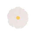 White Zinnia Plate